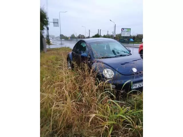 Volkswagen Beetle an 2000 - Imagine 4/10